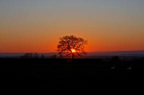 Sunset Orange Sky