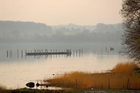 Fog Dawn Waters
