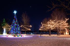 Christmas Town Xmas Tree Winter