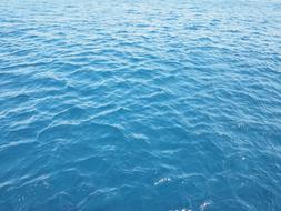 Water Blue Sea
