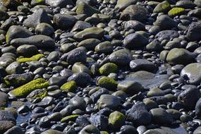 Moss Stones Water