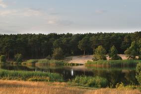Water Landscape Figure