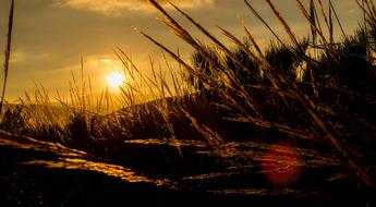 Sunset Sun Sky