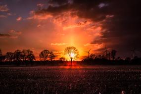 Sunset Dawn Sun