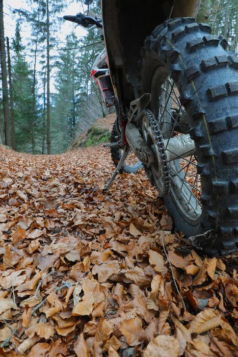 Motocross Motorcycle Forest