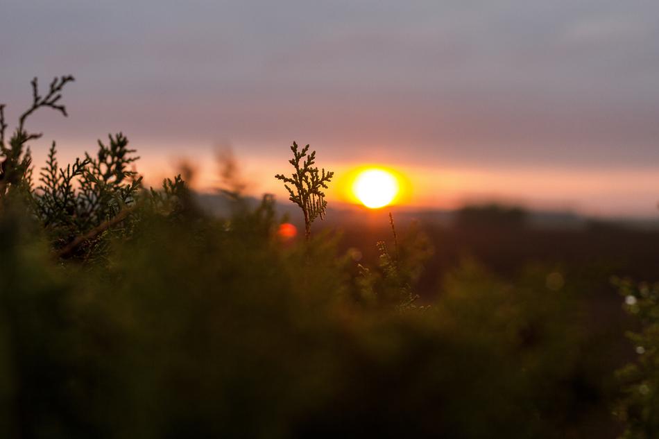 Sunset Landscape Nature