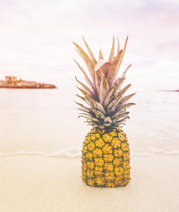 Beach Bubbles Fruit