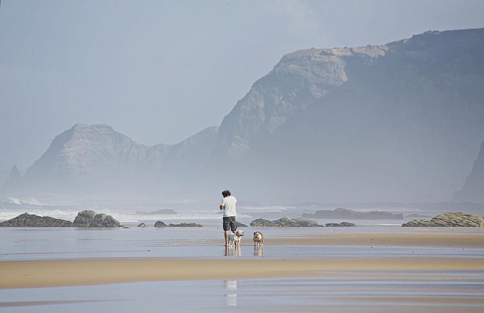 Beach Sea Sand