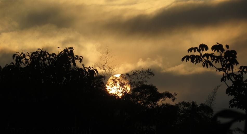 Nature Sunset Sun