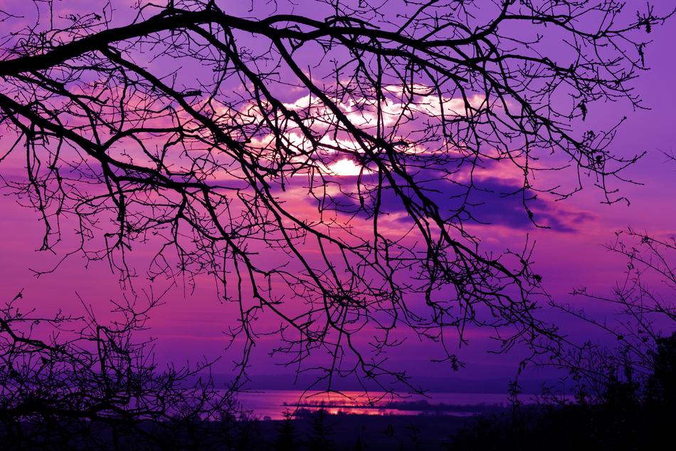 Sunset Violet Landscape