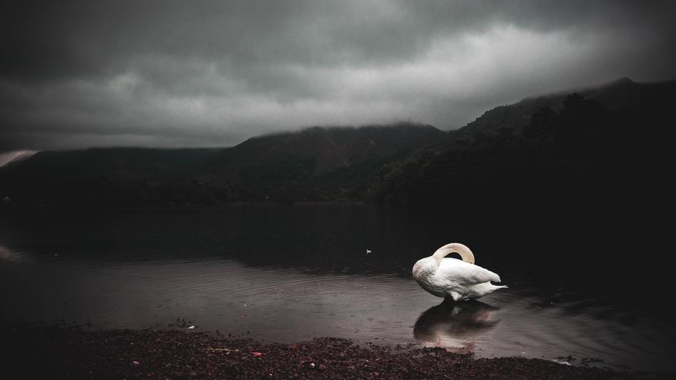 Nature Lake District
