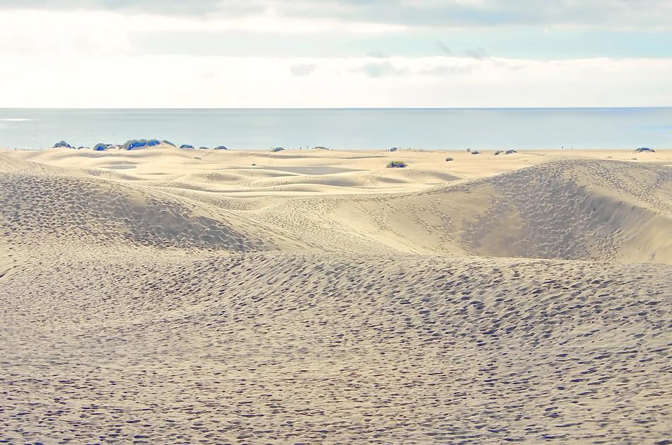 Desert Sea Sand