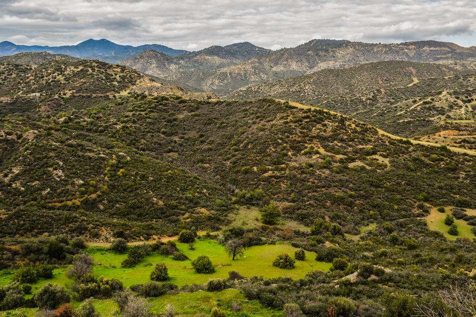 Mountains besieged by trees