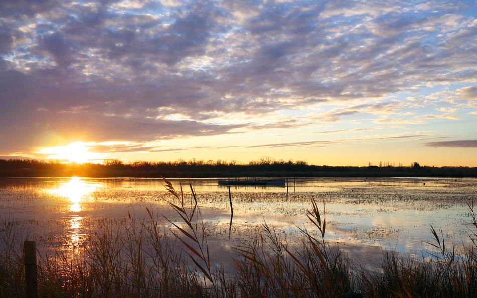 Nature Landscape Sunset