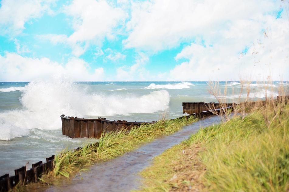Splashing waves in the grassy fields