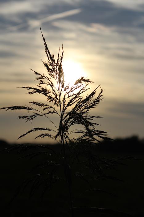 Abendstimmung Sun Sky
