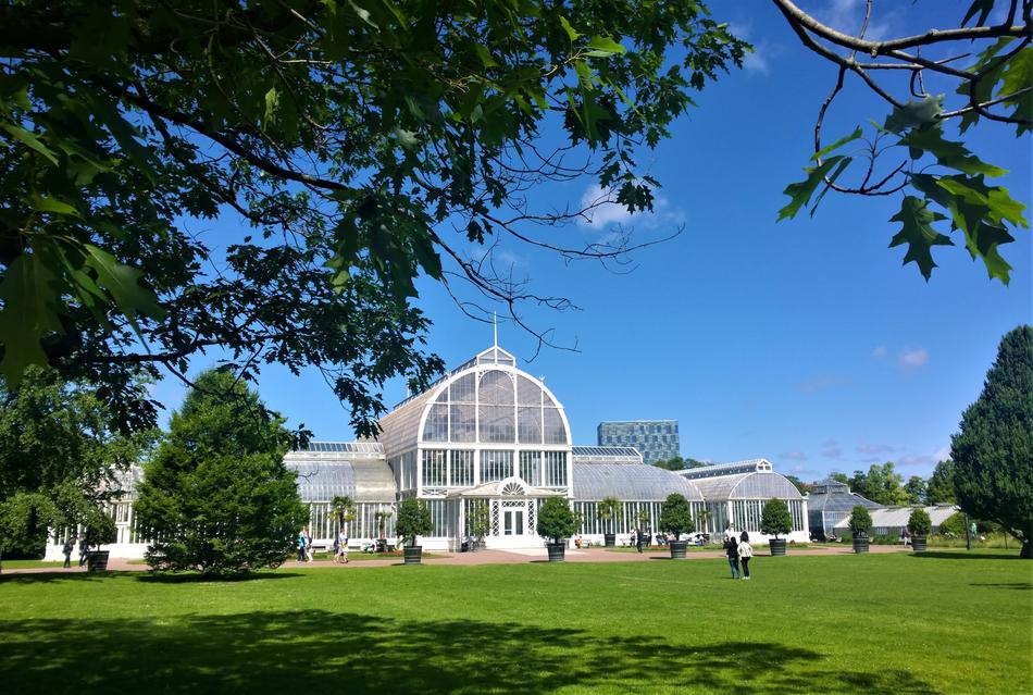 The Palm House in Gothenburg