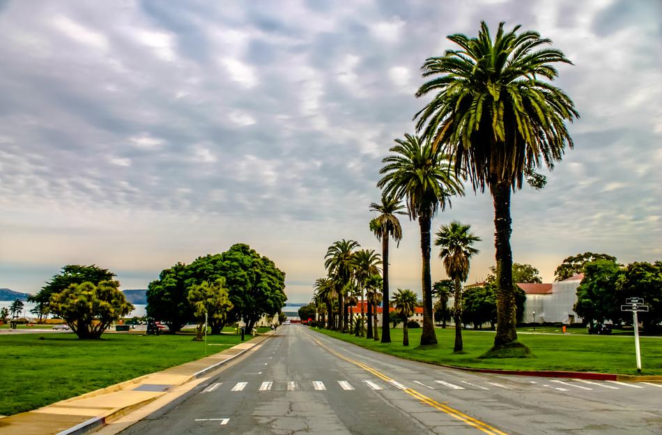 Presidio Saf Francisco Palms