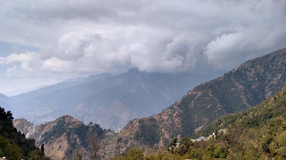 Forest Nature Mountains