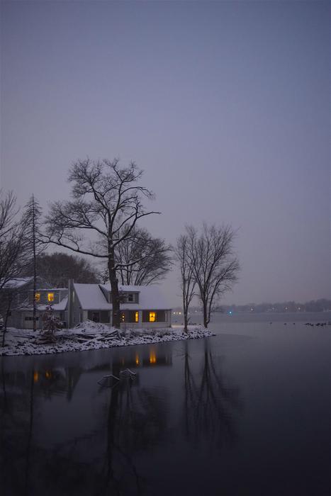 Lake Snow Tree