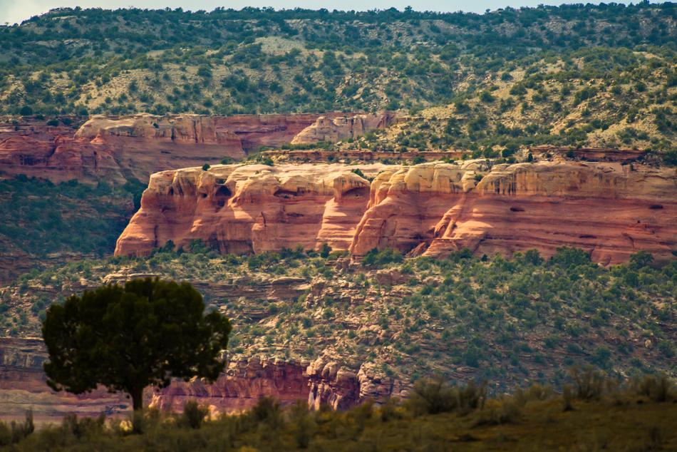 Arid Canyon Dawn