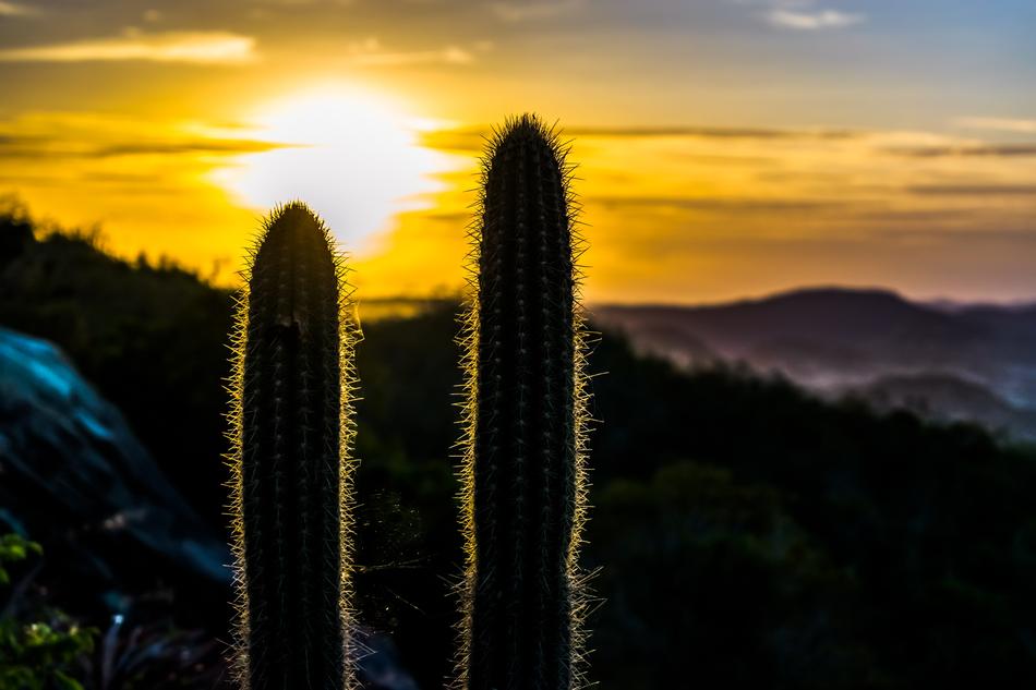 mountains Sunset Nature Widescreen