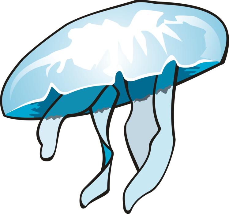 jellyfish sea illustration