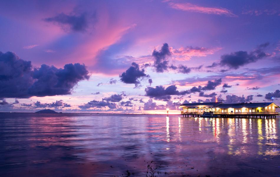 Sunset Over The Sea Wild Kissing