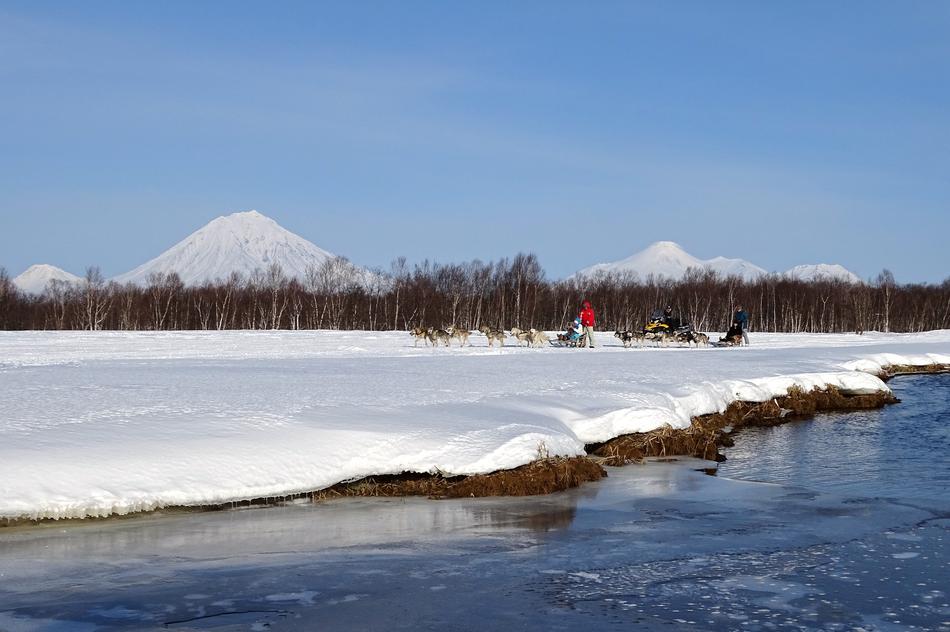 River Beach Dog Sled
