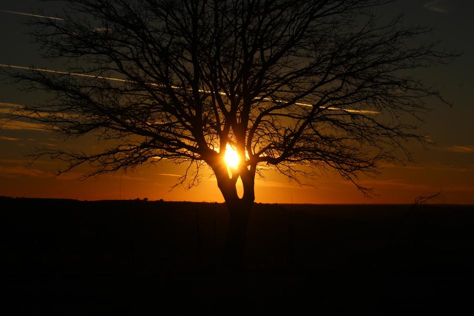 Sunset Dawn Dusk