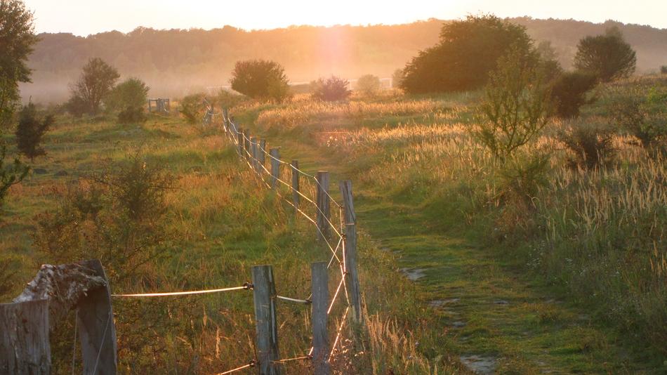 Path Pen Fence