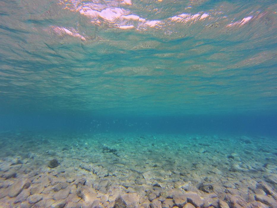 Diving Underwater Nature