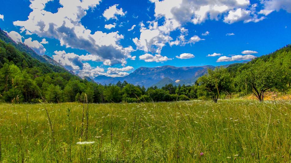 Panoramic Nature Landscape