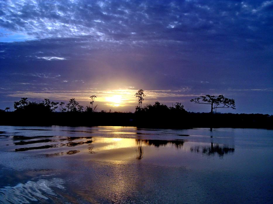 Gayana The River Demerara