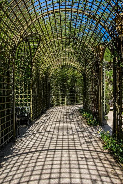 Park Nature Travel