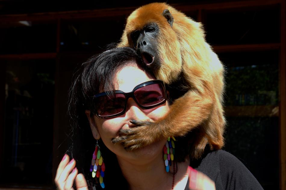 Women Mono and monkey