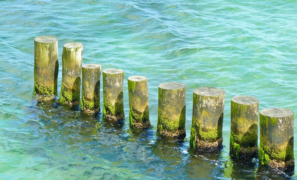 Sea Coast Baltic