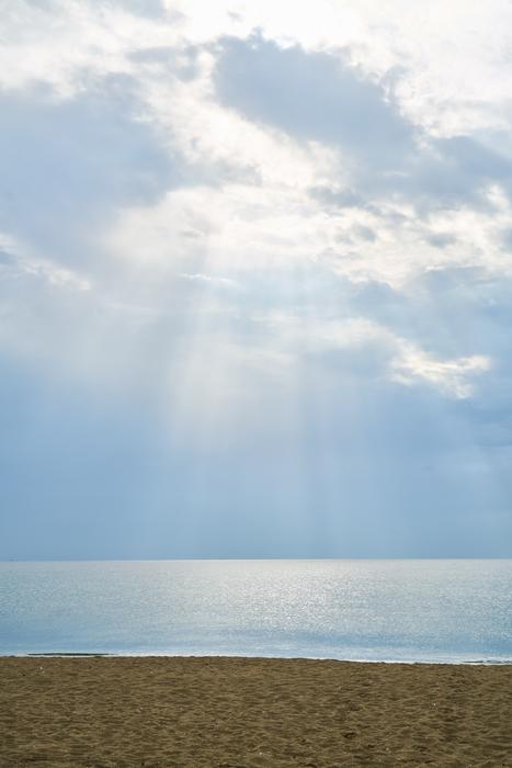 Marine Landscape Light