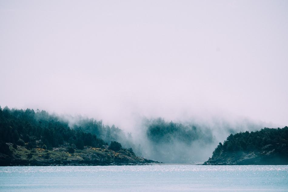 Coast Shore Water
