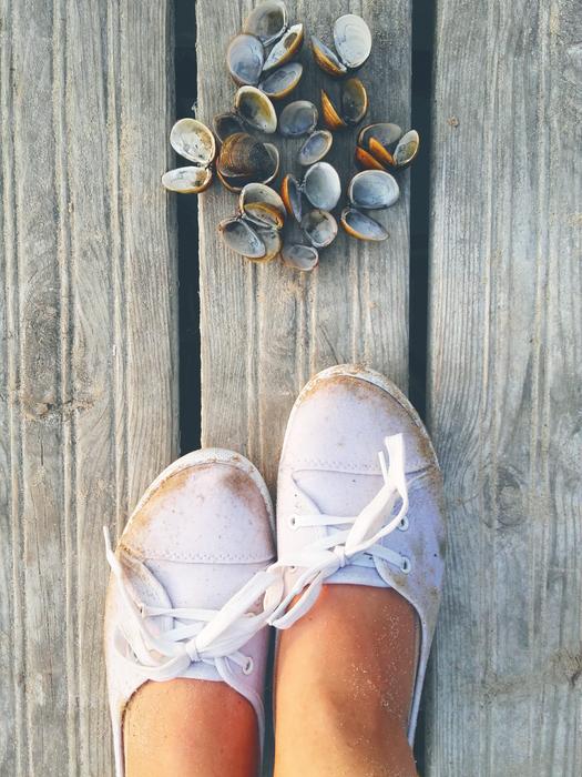 Shells Bridge Shoes