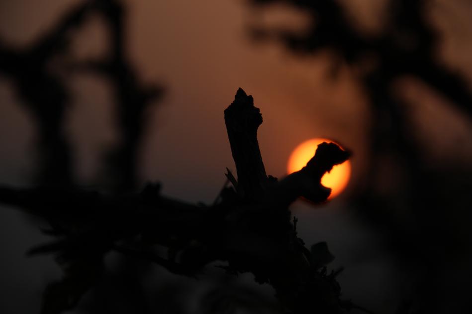 Pushkar Sunrise India