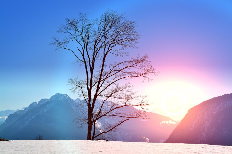 Winter Wintry Snow