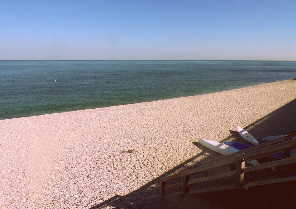 Beach Sea Ocean