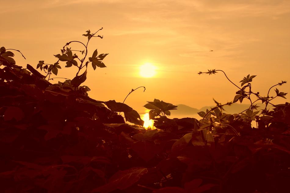 Sunset In The Evening Sky