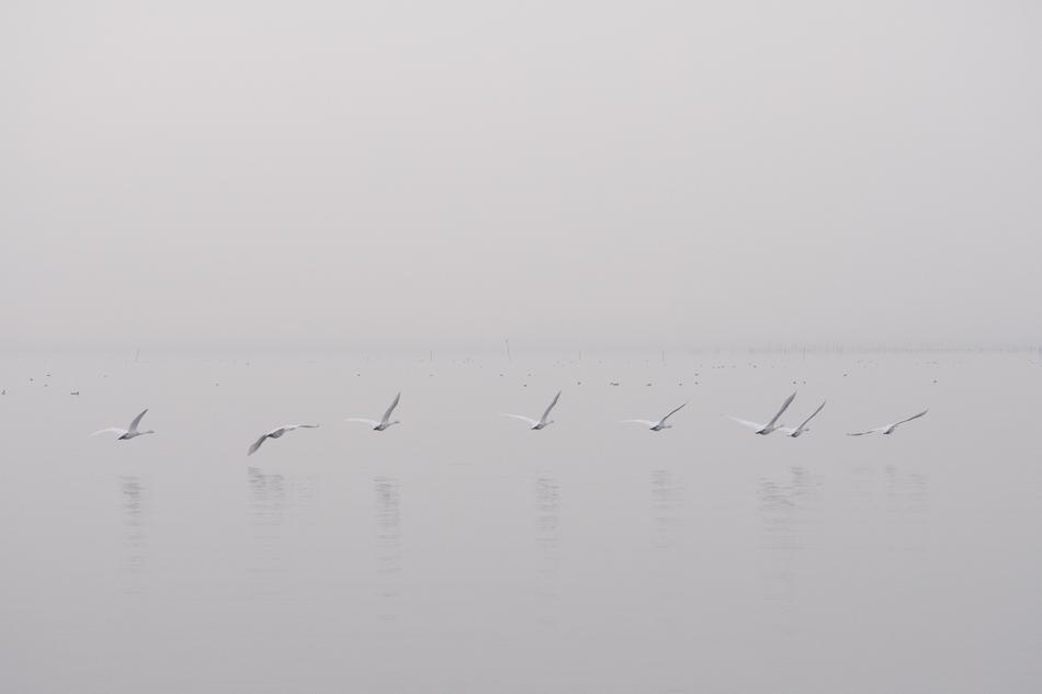 Water Ocean Sea