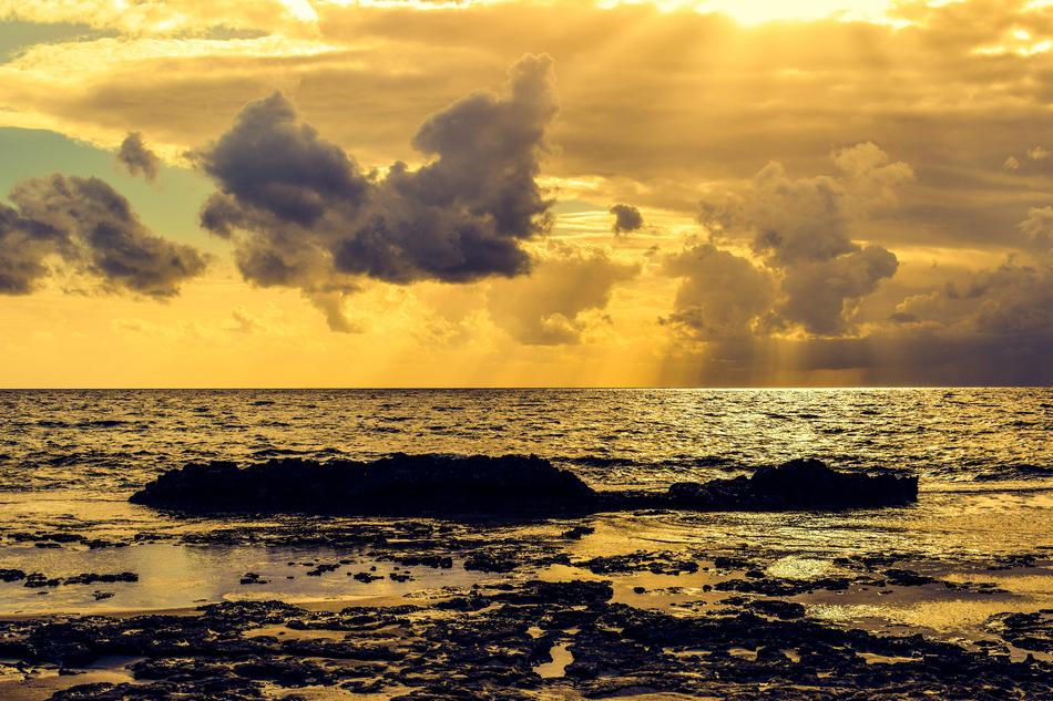 Seashore Beach at sunset light