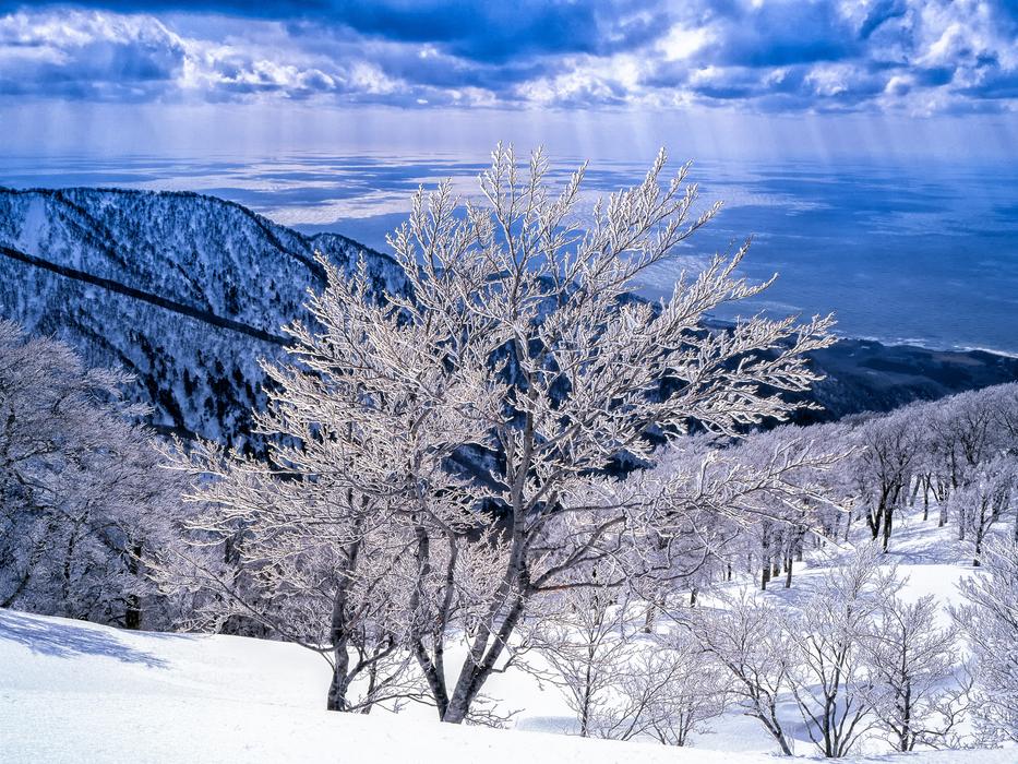 Landscape Rime Mountains