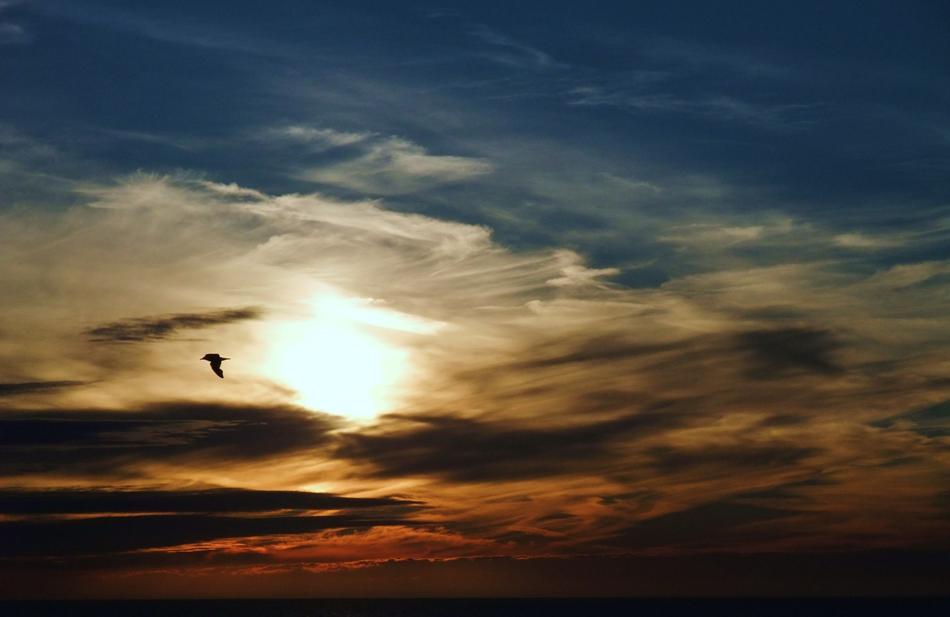 Sunset Sun The Dome Of Sky