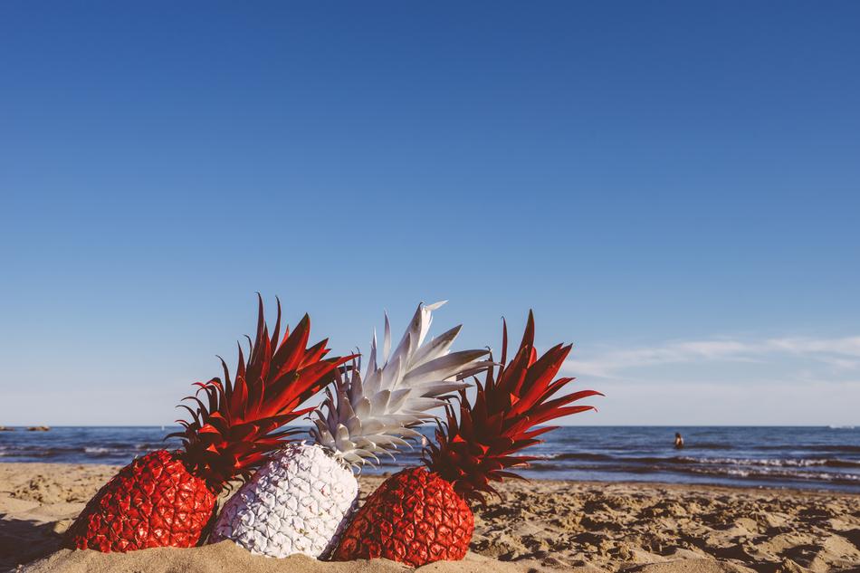 Beach Fruits Ocean