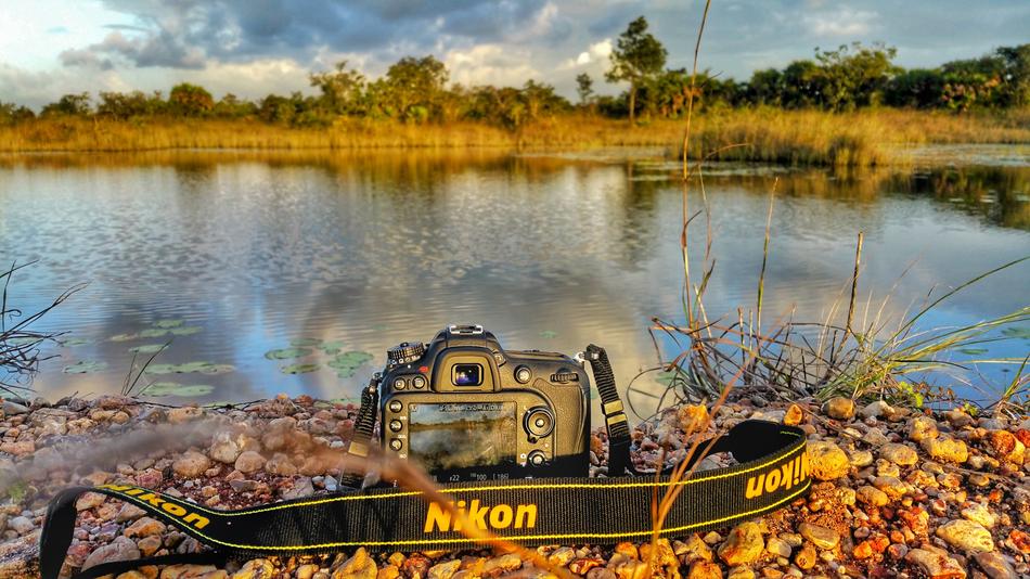 Camera Water Nature